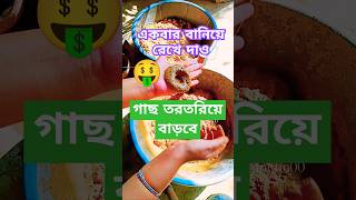 একবার বানিয়ে রেখে দাওগাছ তরতরিয়ে বাড়বে garden soilmix budgetgardening hackytshortsshorts [upl. by Kinimod]