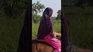 Donkey riding in high speed  full vlog on channel desertwomendailyroutine mumtaz dailyroutine [upl. by Derwin]