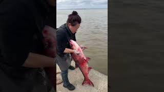 This Lady Leaves the Fish in the Sea  InFact Tamil shortsvideo [upl. by Aria48]