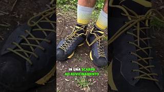 Scarpa da TREKKING VS da AVVICINAMENTO  Quali differenze [upl. by Laszlo]