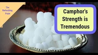 What is camphor Its Strength is Tremendous amp Its Healing Abilities are Effective  Uses amp Recipes [upl. by Maag]