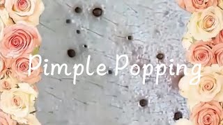 Pimple amp Blackheads Popping  9 [upl. by Tabbie]