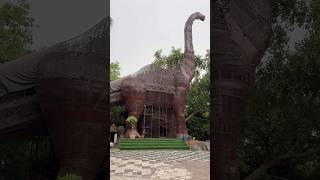 Unnati ne dhekha big 🦕 🦖 dino shorts youtubeshorts trending viralshort [upl. by Norved]