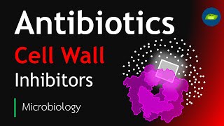 Antibiotics  Cell Wall Inhibitors  Microbiology  Basic Science Series [upl. by Joleen]