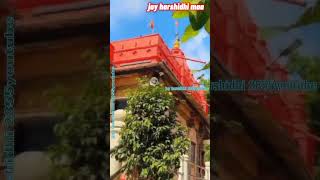 harshidhi  જય હરસિધ્ધિ shortshttpsyoutubecomJayharshidh2855viral video shortvideos [upl. by Yann692]