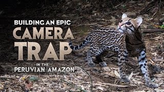 Building an Epic Camera Trap In The Peruvian Amazon [upl. by Oaks]