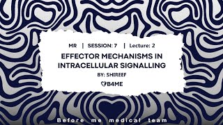 MR S7L2  ReceptorEffector Signaling Via G Proteins II [upl. by Rednave]