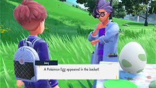 Where and How to get Sinnoh Starter Egg   TEAL MASK DC  Pokemon Scarlet and Violet [upl. by Ahsimek]