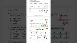 Class 2 nso paper class2nsopaper nso sofolympiad [upl. by Tirma]