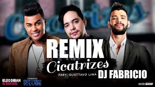 CICATRIZES GUSTTAVO LIMA REMIX DJ FABRBICIO [upl. by Sivek]