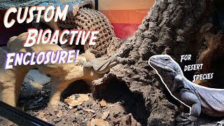 How To Create a Custom Bioactive Desert Reptile Enclosure [upl. by Eastman]