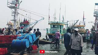 Sassoon Dock Colaba Fish market🌊🦐🐟seaking colabamarket fisherman koli [upl. by Murdoch]