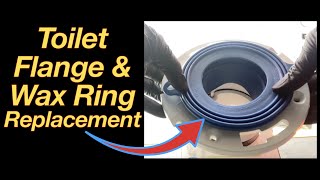 How to Repair or Replace a Toilet Flange amp Wax Ring Replacement [upl. by Mera]