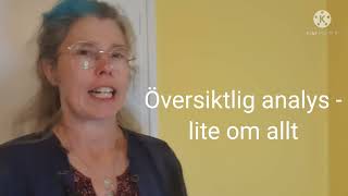 1 Litterär analys  en översikt [upl. by Aicenek]