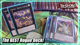 Bird Up YuGiOh Lyrilusc TriBrigade Deck Profile  Post December 2022 Forbidden amp Limited List [upl. by Anuala]