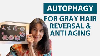 Autophagy For Gray Hair Reversal amp AntiAging How To Induce Autophagy With Spermidine [upl. by Riha]