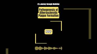 Medical Music Pathogenesis of Atherosclerotic Plaque Formation [upl. by Nesnar]