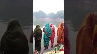 chhath puja Special video 2024  chhath puja 2024  chhath 2024  chhathpuja [upl. by Breger247]