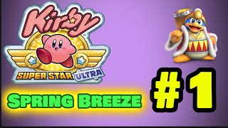 WE GATHER ALL THE SPARKLING STARS AND DEFEAT DEDEDE Kirby Super Star Ultra Episode 1Spring Breeze [upl. by Nerfe]