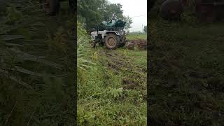 Eicher 380 eichertractor tectorvideo tector short [upl. by Maribel]