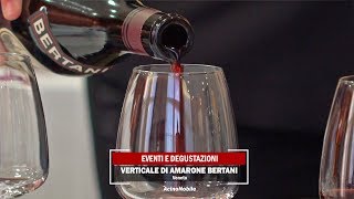 Amarone Bertani  AcinoNobile [upl. by Senaj]