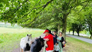 lydiard park uk❤️ [upl. by Ainoval704]