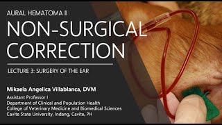 Lecture 33 Nonsurgical Correction of Aural Hematoma [upl. by Eltsyrc]