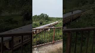 This Incredible Train Crossing is a Masterpiece train trains [upl. by Lrem]