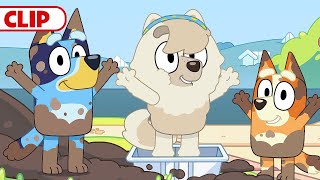 Bluey Season 3 Episode 36 quotDirtquot Episode Clip  disneyjr  BlueyOfficialChannel​ [upl. by Chap223]