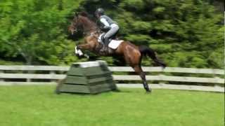 Horses Cross Country Jump Schooling  Training at McLaren Falls Park Nr Tauranga New Zealand [upl. by Elaen131]