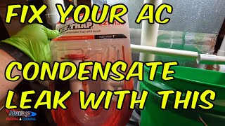 Quick and Easy Guide Unclogging Your AC Drain [upl. by Nahtanoy]