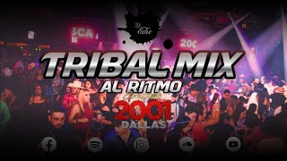 Tribal Mix Al Ritmo de Escapade 2001 Mix 2023  Dj Echo [upl. by Inez]