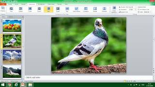 PowerPoint presentation ko video me convert kese kareppt slide to video yes learningtips [upl. by Nylatsirhc]