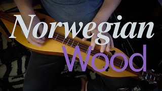 Norwegian Wood Beatles cover [upl. by Darbee]