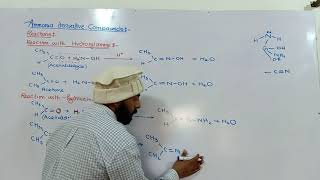 Ammonia derivative reactions  hydroxylamine amp hydrazine with carbonyl compound  12th class ch12 [upl. by Akceber]