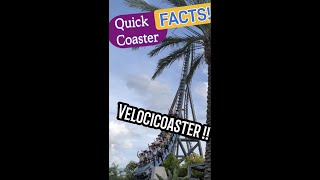 Bizarre Rollercoaster FACTSVelocicoaster Impress Your Friends with Knowledge Universal Orlando [upl. by Mou]