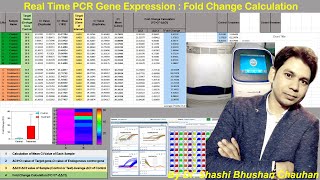 How to Analyze Real time PCR Data  Real Time PCR Gene Expression Fold Change Calculation [upl. by Jonas248]