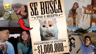 SE R0BARON A COPITO🐱😱 Broma a CECIA LOAIZA  KatiaVlogs [upl. by Fair]