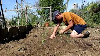 Why I love simply countryside life starting the garden making homemade cheese fixing a bicycle [upl. by Chow]