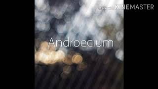 Androecium Pronunciation [upl. by Ezirtaeb]