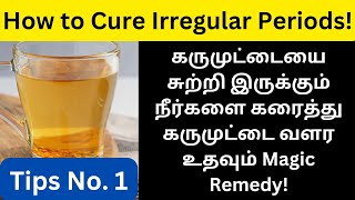 நீர் கட்டி கரைய  how to cure irregular periods naturally tamil  PCOD PCOS  egg growth [upl. by Jaenicke]