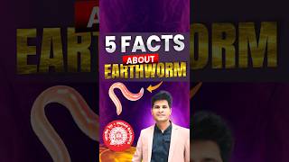 5 Facts about Earthworm shorts shortsfeed neerajsir sciencemagnetshort [upl. by Gromme]