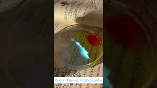 😱Using Luminol to make a glowing water shorts experiment science [upl. by Lorianne]