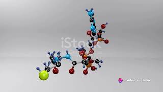 Oxidation of unsaturated fatty acid PUFA and MUFA oxidation [upl. by Eirallih]