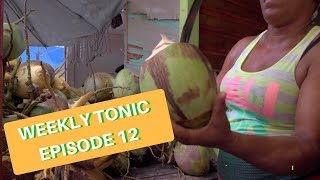 Caprylic Acid Benefits  LifeSeasons Weekly Tonic Video  Episode 12 [upl. by Krilov]