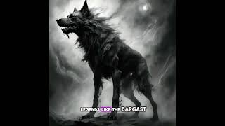 Hellhounds what are they paranormal paranormalactivity hellhounds [upl. by Lemmueu]