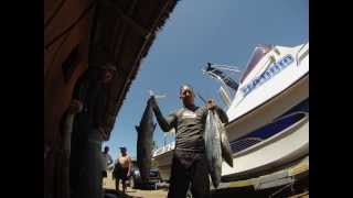 Spearfishing Mozambique Paindane 2013 [upl. by Toolis231]