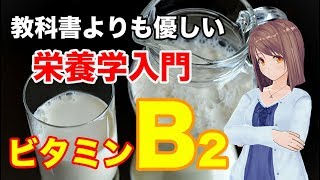 【栄養学の基礎】ビタミンB2の特徴や生理作用、過剰症や欠乏症などを簡単に解説してみた！ [upl. by Hubbard579]