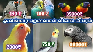 Exotic birds price list all types of parrot வீட்டில் வளர்க்கும் அலங்கார பறவைகளின் விலை விபரம் [upl. by Nairrod]