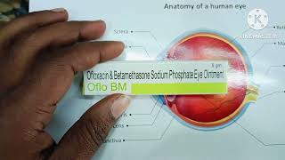 ofloxacin amp Betamethaso e sodium phosphate eye ointment Uses Hindi  oflo bm ointment [upl. by Eitsim]